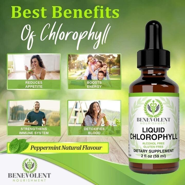 oz NEW Benevolent Nourishment Fluid Chlorophyll Herbal Supplement 2
