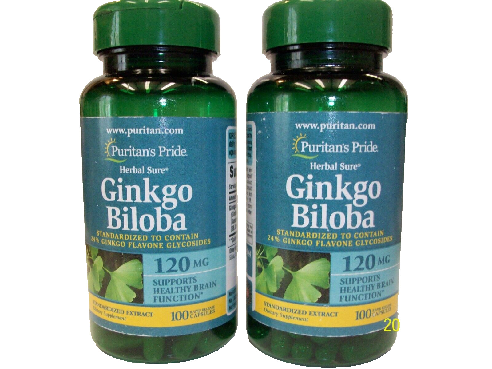 Puritan’s Pride Ginkgo Biloba 120 mg 100 Capsules Pack of 2