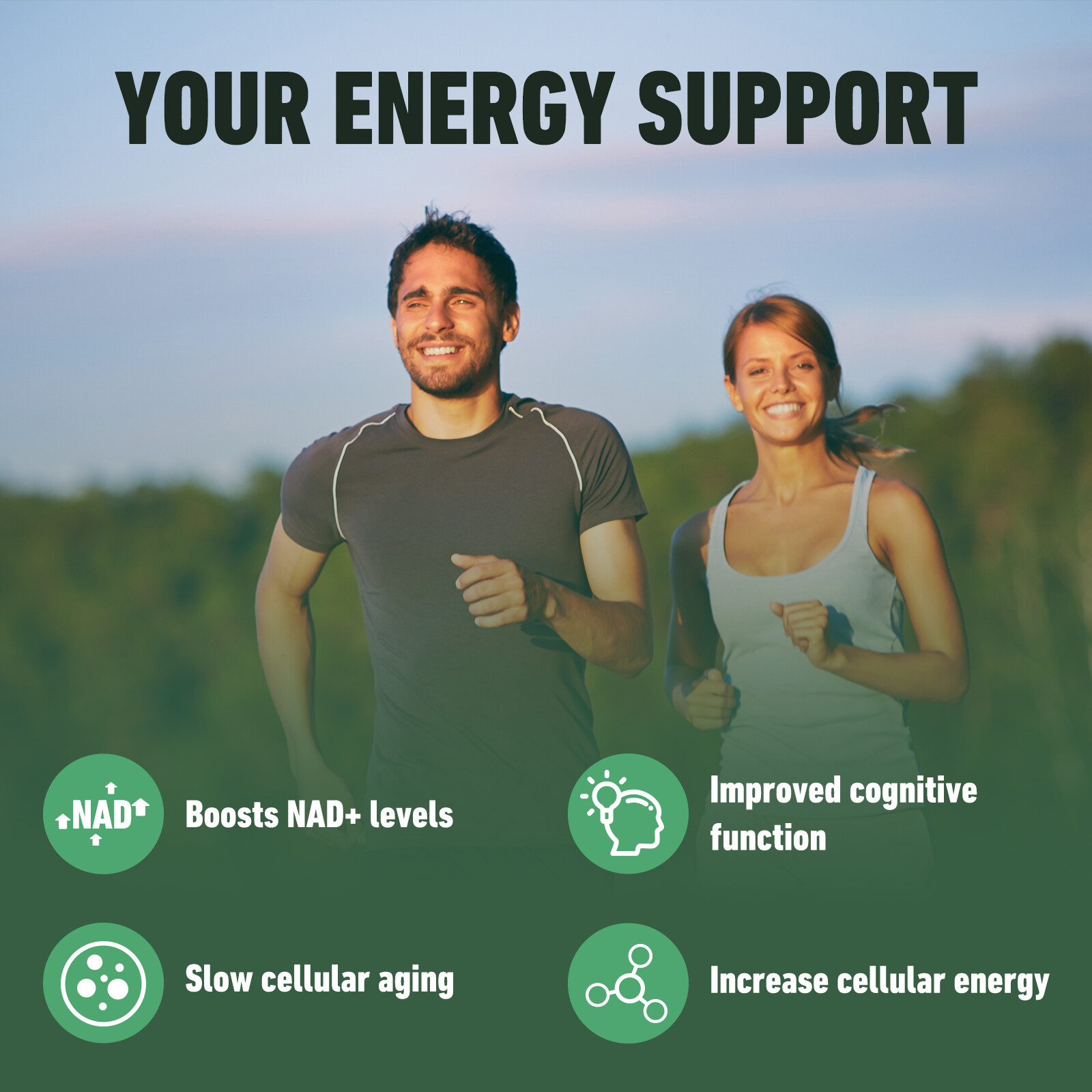 Nicotinamide Riboside – Resveratrol, Anti Aging, Antioxidant, Brain Support
