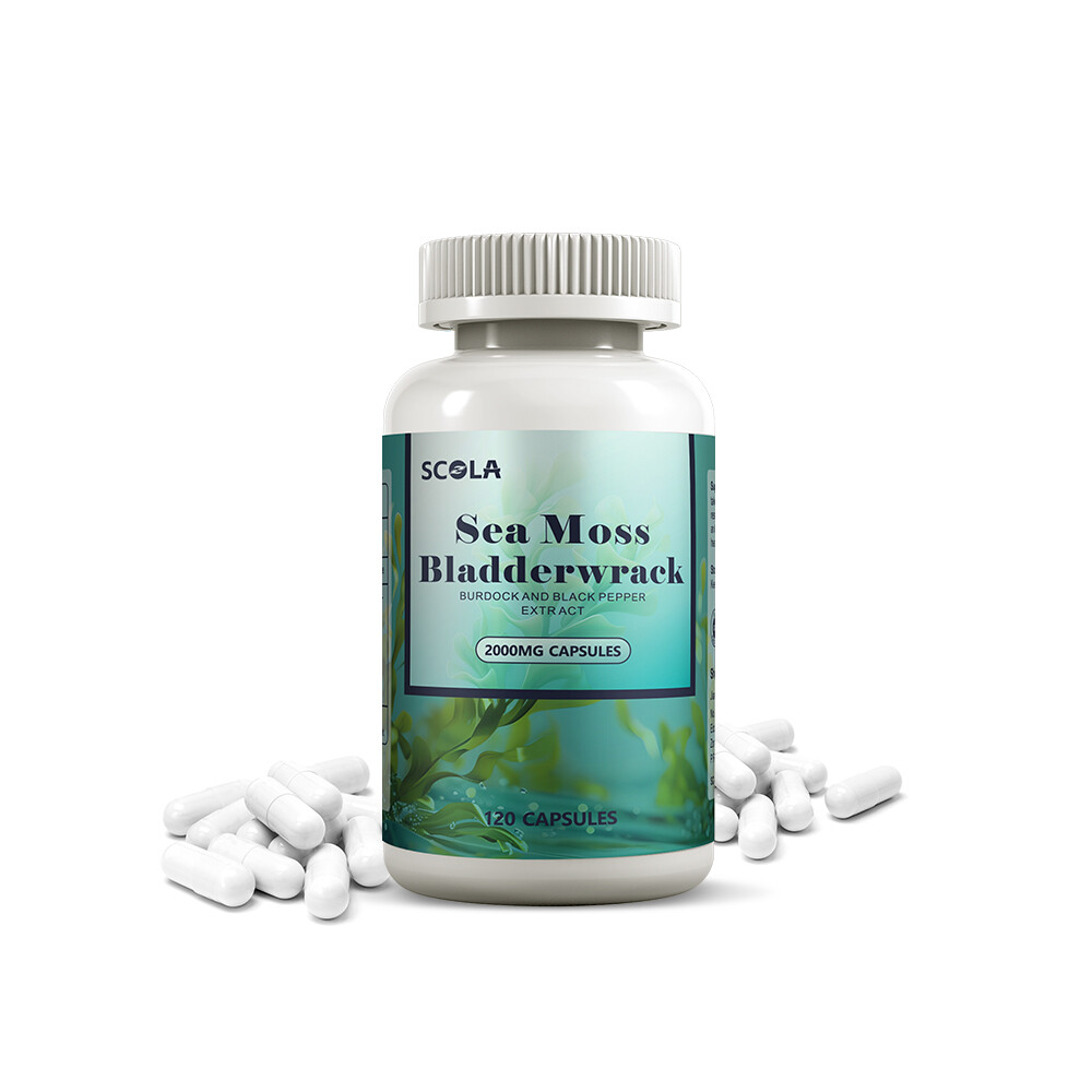 Sea moss – Sea moss Capsules-Irish sea moss -Bladderwrack -Immune Energy Support