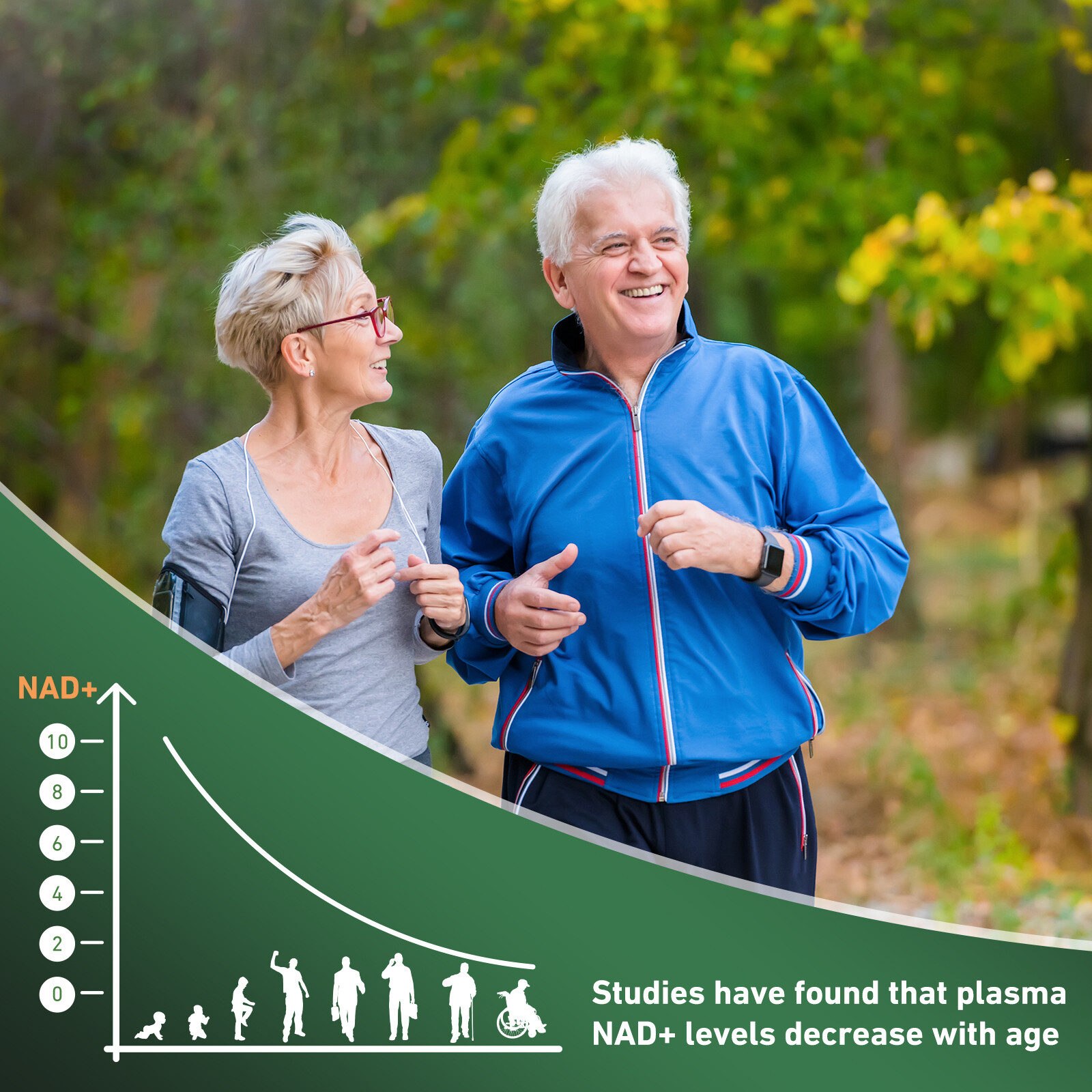 Nicotinamide Riboside – Resveratrol, Anti Aging, Antioxidant, Brain Support