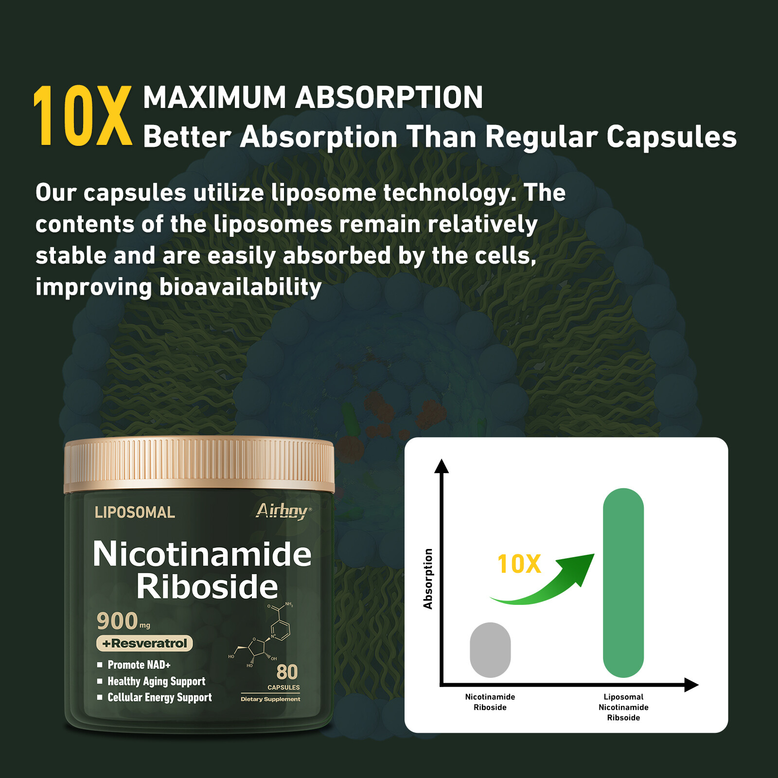 Nicotinamide Riboside – Resveratrol, Anti Aging, Antioxidant, Brain Support