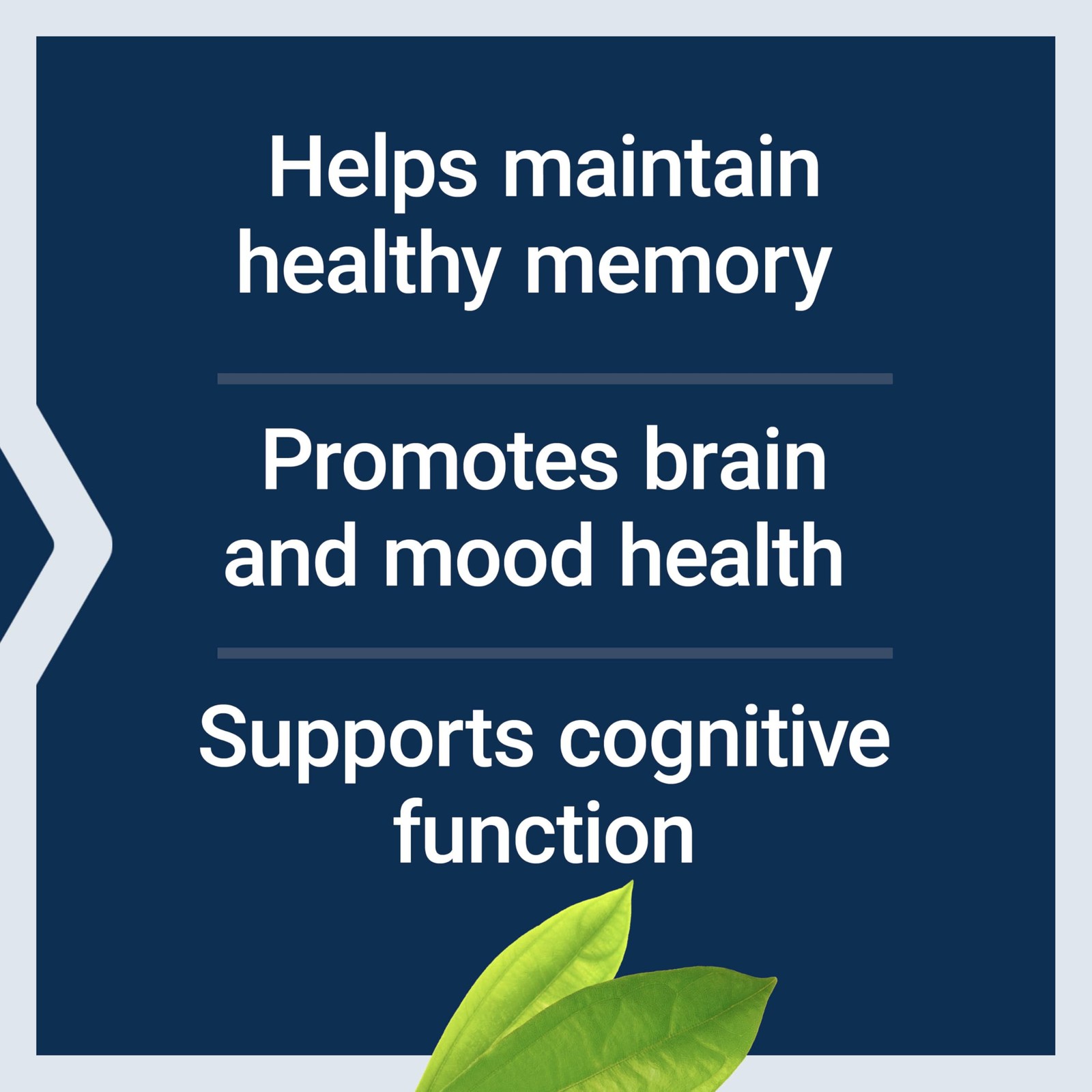 Life Extension Memory Protect, Lithium, 36 Count (Pack of 1), Off-white/Beige